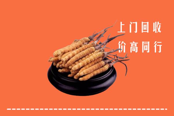 高价求购：东平县回收散虫草