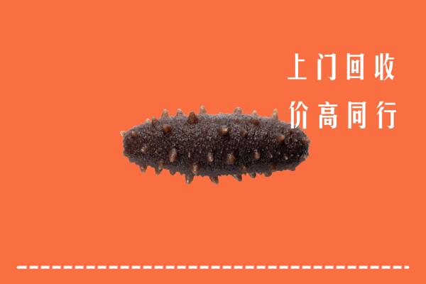 高价求购：东平县回收海参