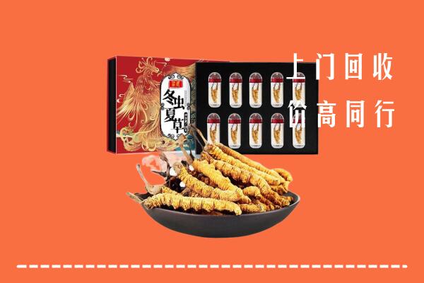 东平县高价回收虫草